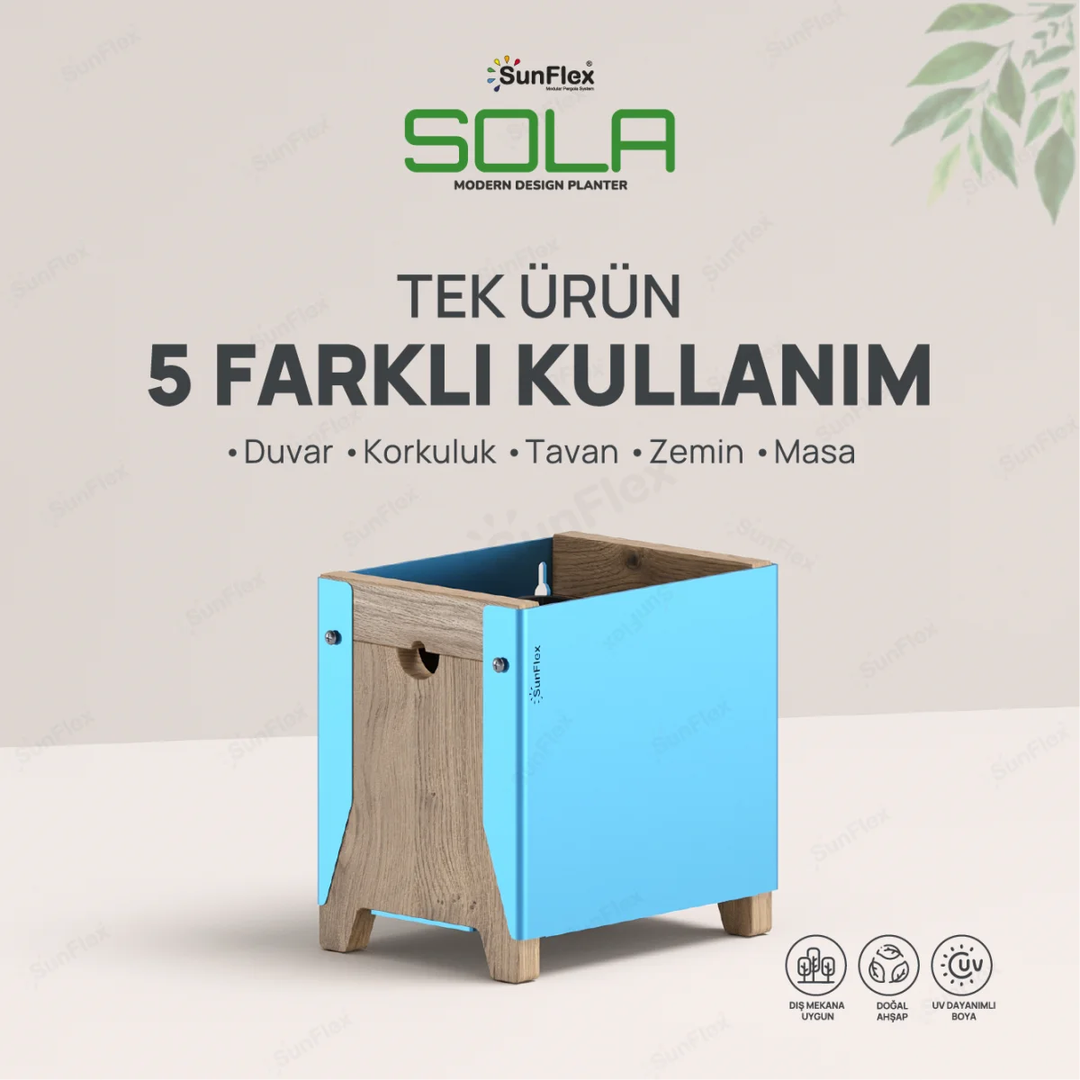 Sola
