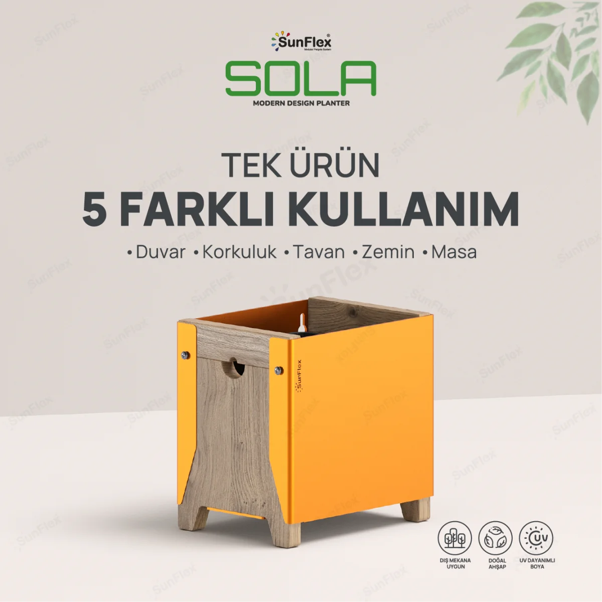 Sola