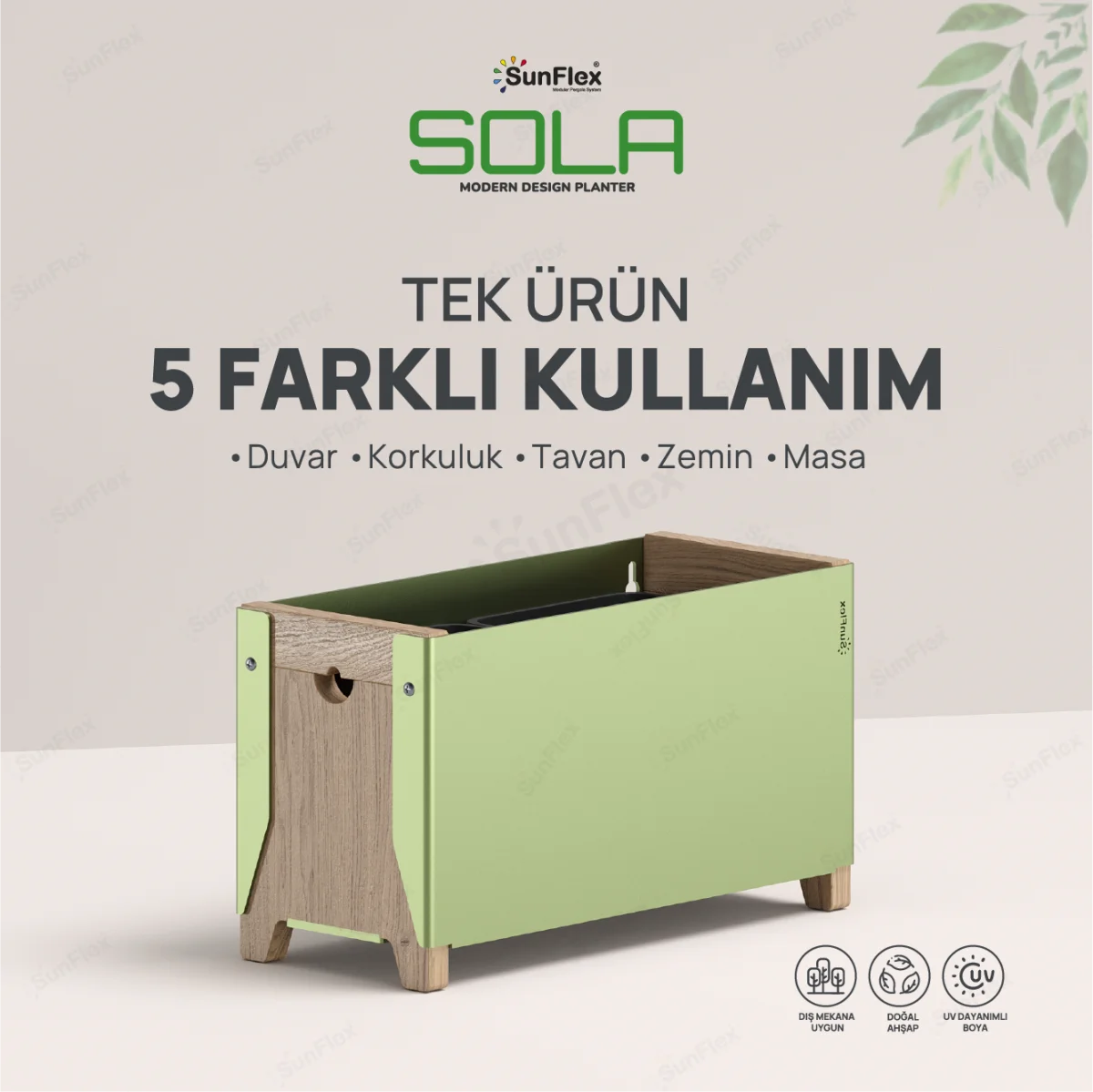 Sola