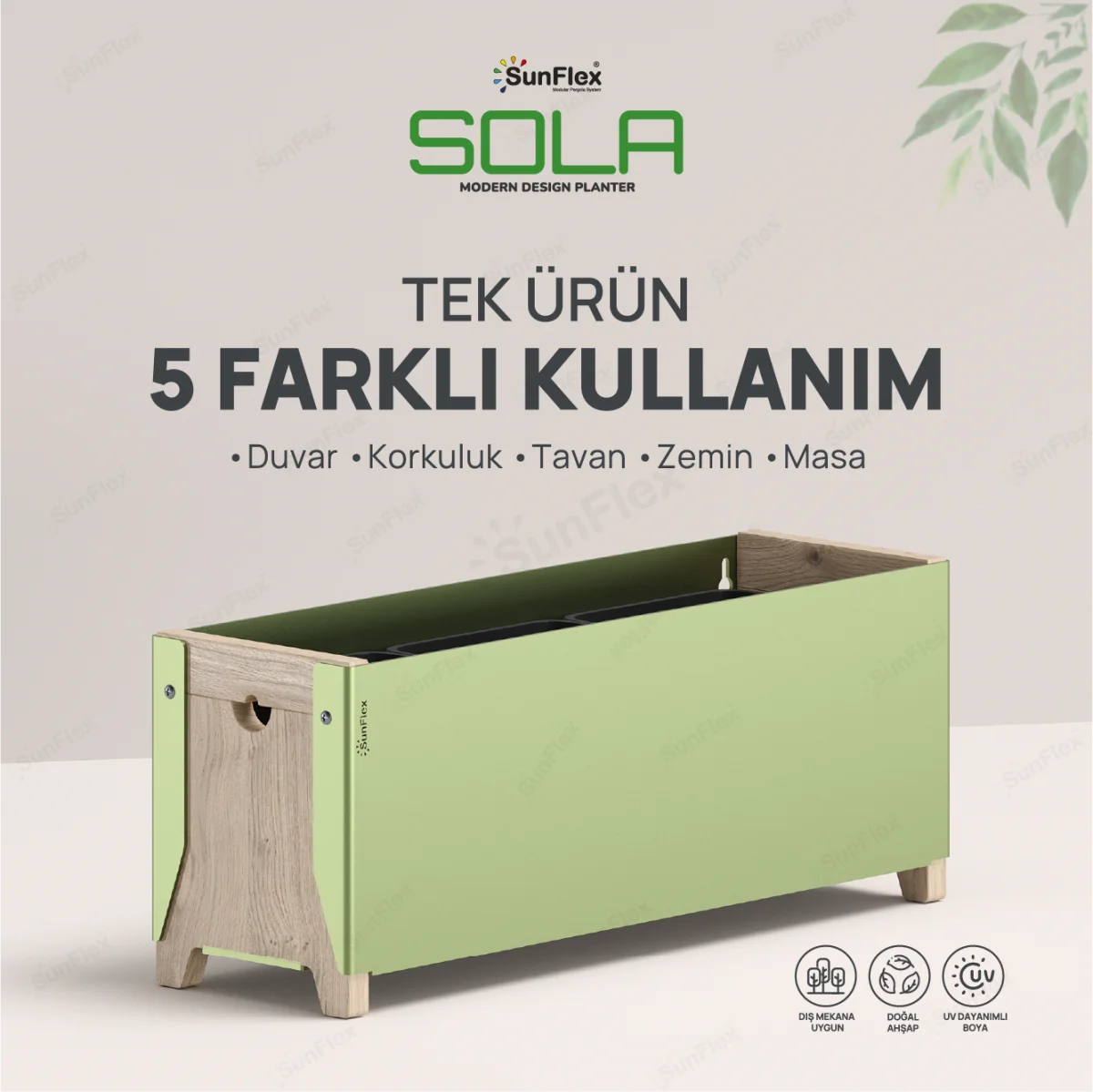 Sola