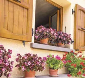 WHY SUNFLEX PRESENTS NATURAL WOOD?